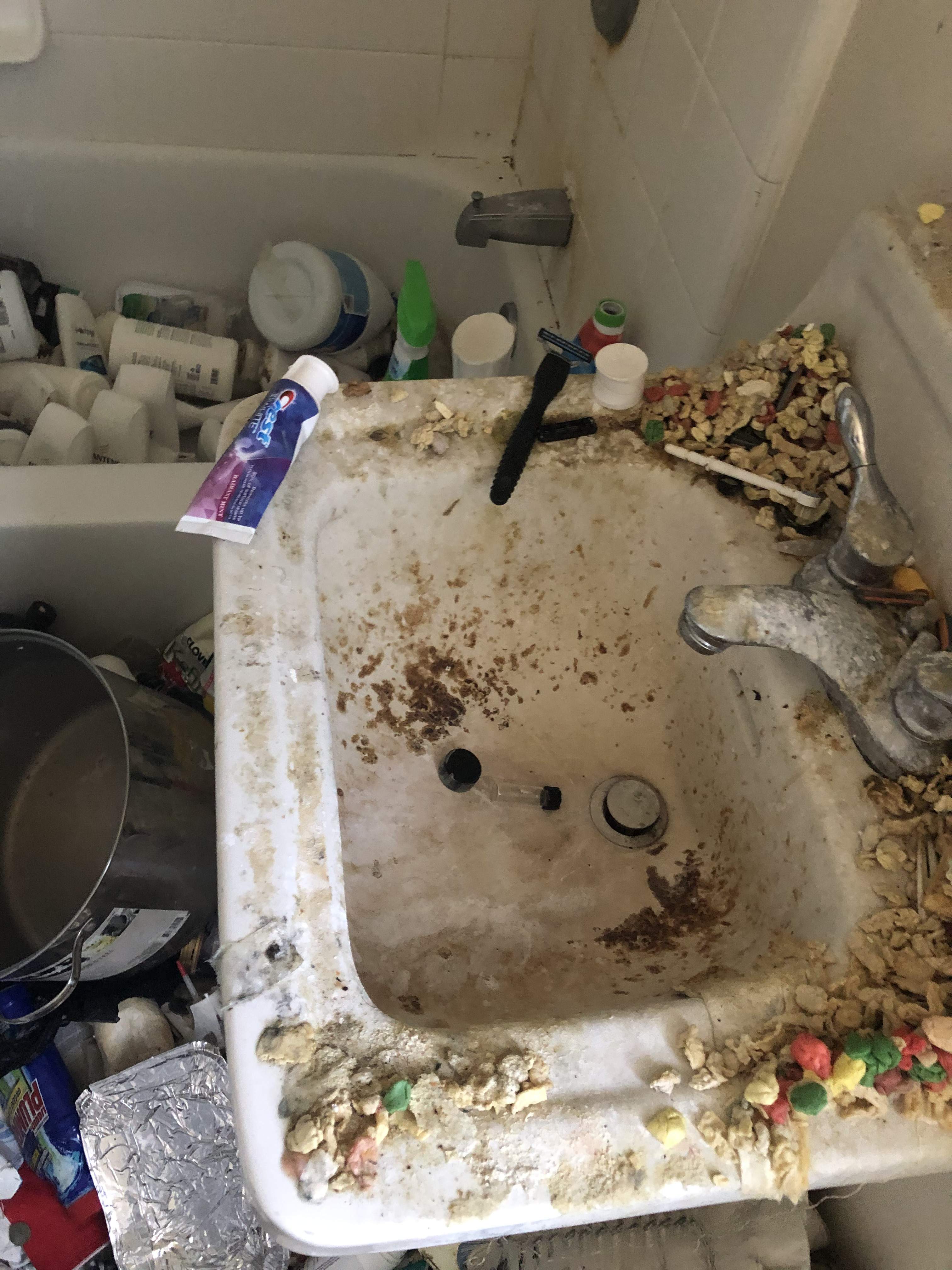 Bathroom before professional cleaning - distressed condition