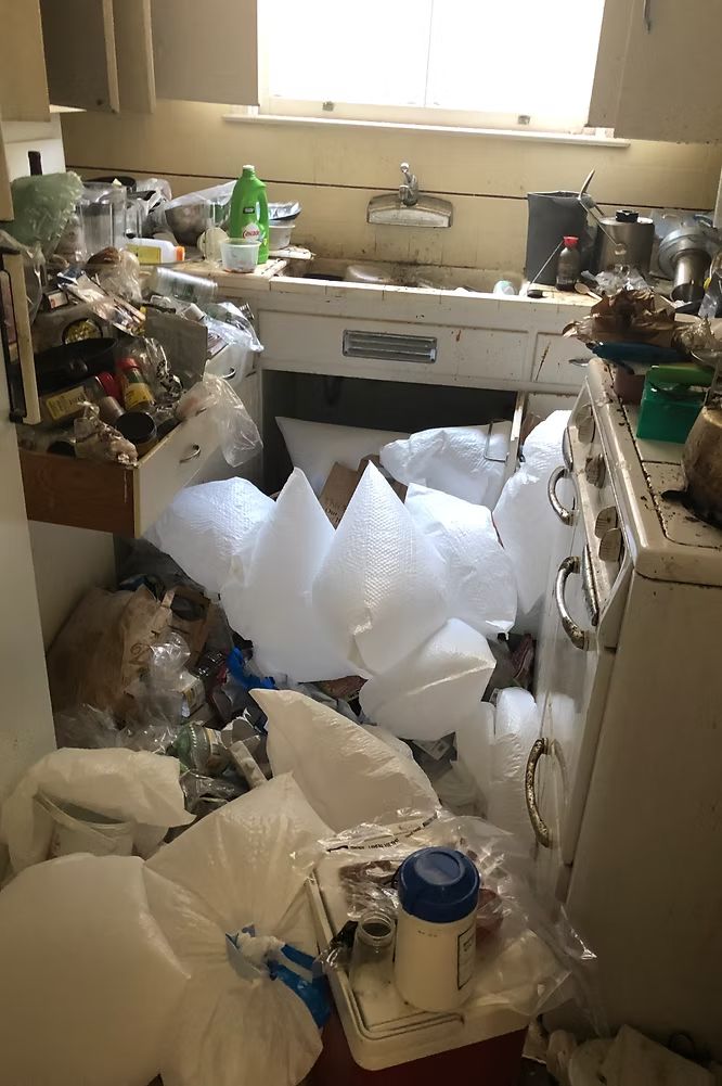 Kitchen before professional cleaning - distressed condition